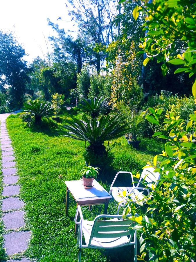 Villa Piedimonte Mare Etna Fiumefreddo di Sicilia Exterior foto